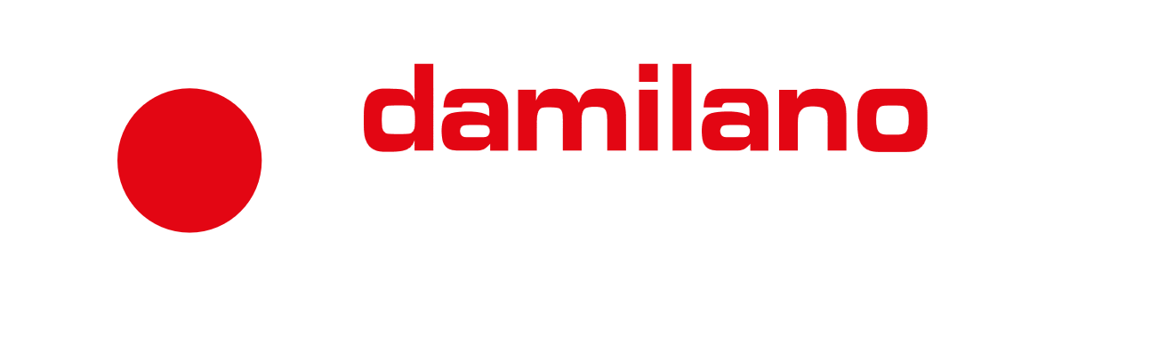 DAMILANO SERRAMENTI logo